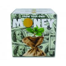 Grow your own - Vypěstujte si peníze